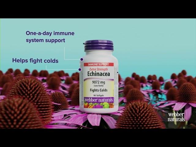 Webber Naturals Echinacea Extra Strength