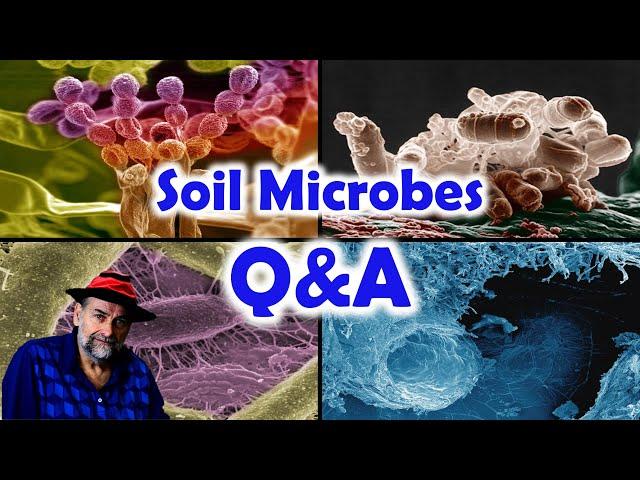 Soil Microbes in the Garden - Answering your questions in a Q&A session