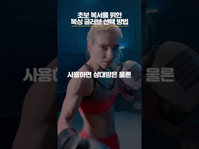 [일단나와] 초보 복서를 위한 복싱 글러브 선택 방법