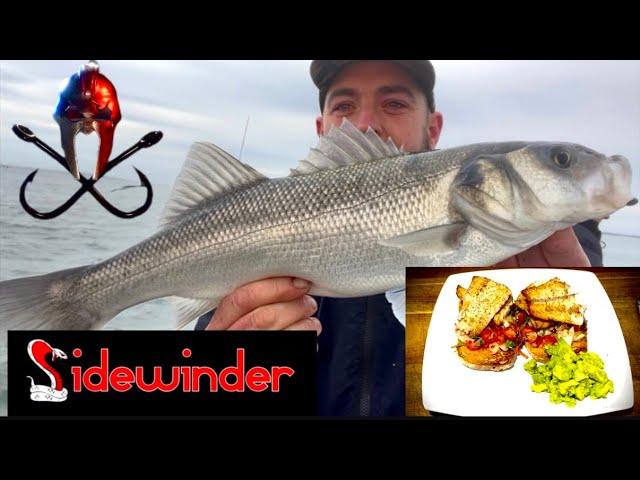 BASS alternative recipe/ CATCH AND COOK / small boat fishing uk  #fishing #cooking #cookingfish