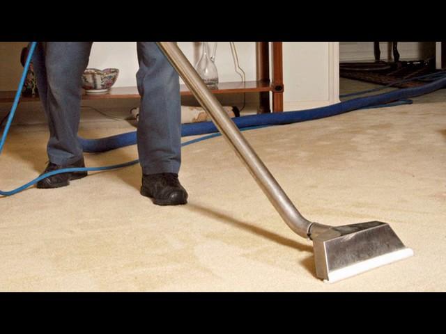 Safe Cleaning Solutions | Palm Harbor, FL - ZeroRez of Tampa Bay