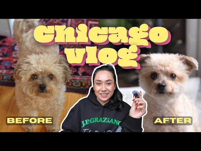 17 min of living in CHICAGO vlog  | Jan/Feb 2025 | SOUTH LOOP & PILSEN