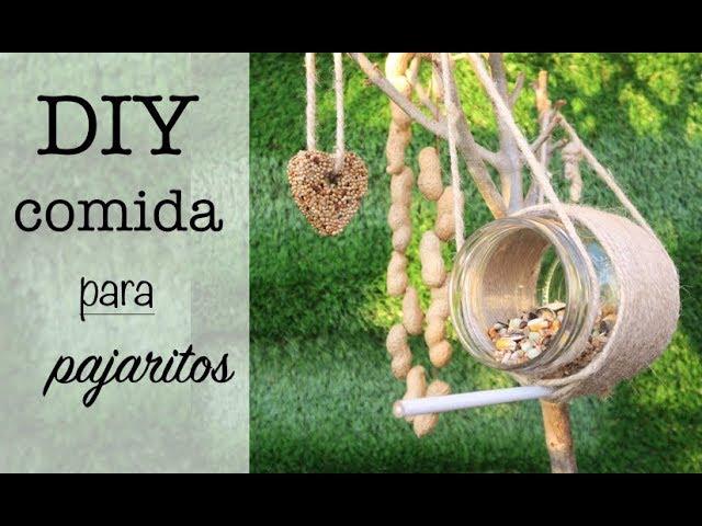 DIY COMIDA PARA PAJAROS