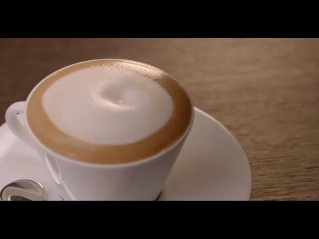 Barista How To | Authentic Cappuccino with U | Nespresso