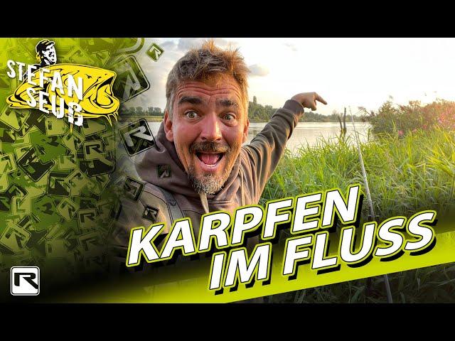 Wilde KARPFEN am FLUSS!! | KARPFENANGELN in Deutschland | Die Erfolgs-Montage!!!