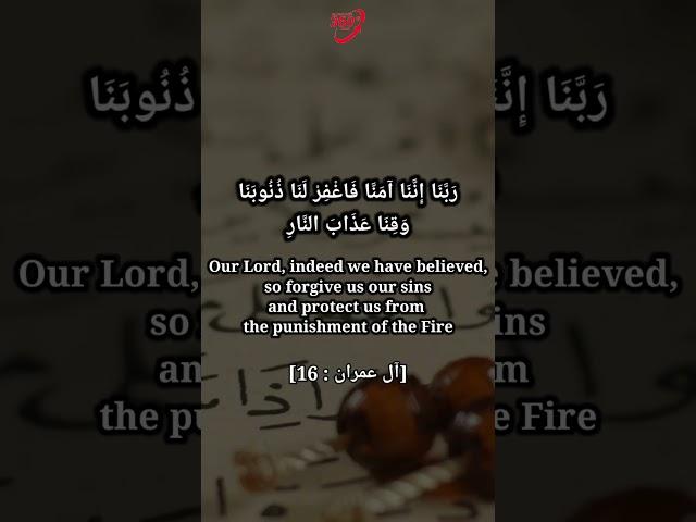 BELIEVED AND FORGIVED | Quran Quotes Recitation #quranquotes #quranrecitation #short