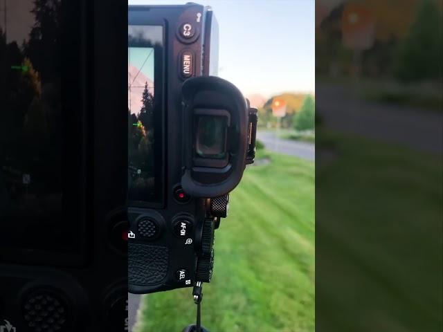 Showing us why we need a telephoto lens. 