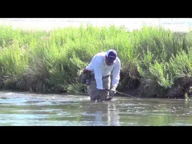 Dream Stream Fly Fishing