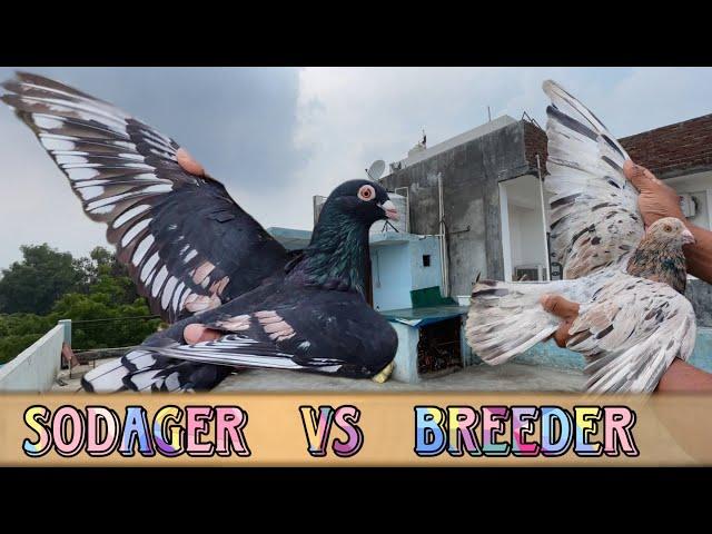 SODAR Vs Breeder | X Fighter Birds ￼