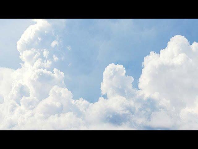 WKBN 27 First News at Noon