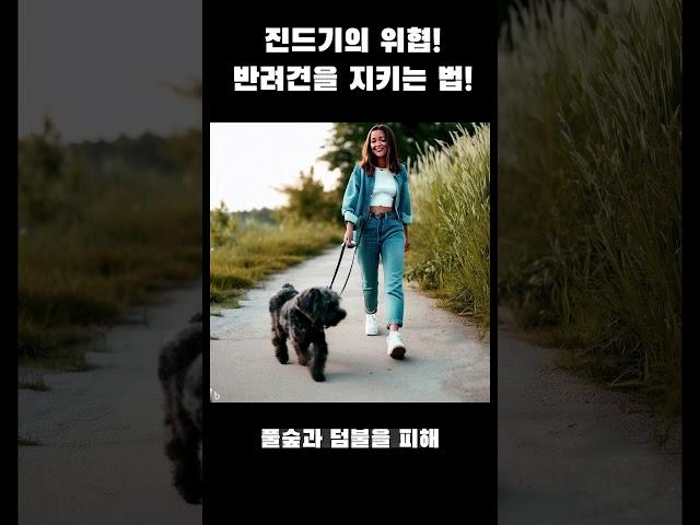 진드기의 위협으로부터 반려견과 사람을 지키는 법은?[강아지 탐구생활](feat. 클로바더빙)