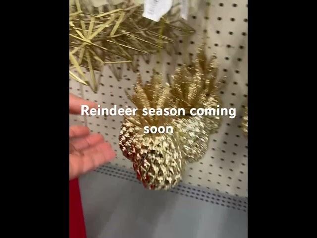 #familyvlog  #holidayseason  #christmasdecor  #falldecor