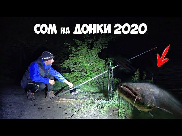 ПЕРВЫЙ СОМ 2020 на ДОНКИ!!! ЛОВЛЯ СОМА и НАЛИМА на РЕКЕ с БЕРЕГА