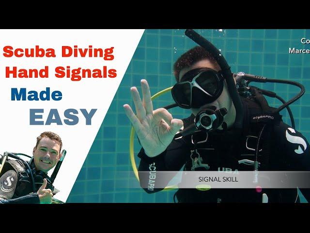 Scuba Diving Hand Signals  How Divers Communicate Underwater!