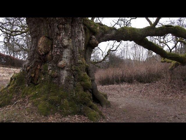 Birnam to Dunkeld by the River Tay