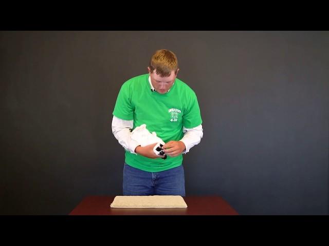 4-H Rabbit Showmanship Tutorial