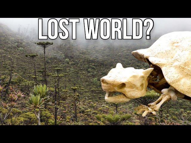 The Real Lost World: New Caledonia