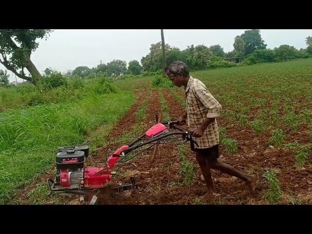 royal kisan power weedar 7hp part3 work video