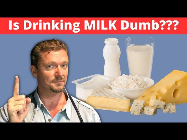 Is DAIRY Scary?? Inflammation & Obesity Concerns - 2024