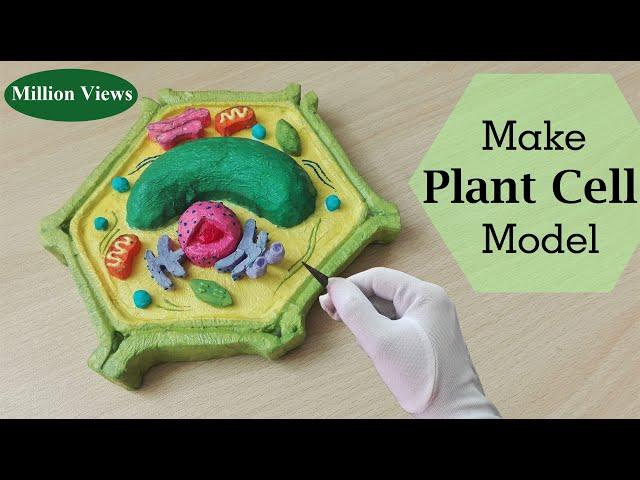 Simple and Easy way to make plant cell Hexagone shape model |3d styrofoam carving