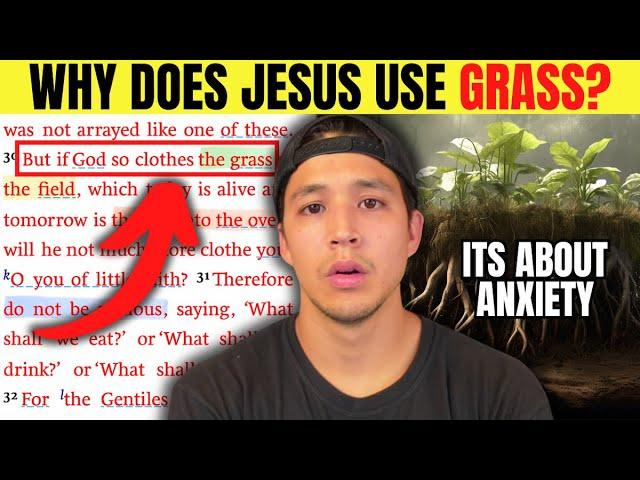 Why Jesus Uses Grass To Confront Anxiety In Matthew 6 | Bible Study | Jason Camacho