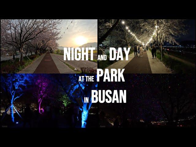 Daejeo Ecological Park, Busan, Korea [부산 대저생태공원] Feel the night and day walk at the Park in Busan 4K