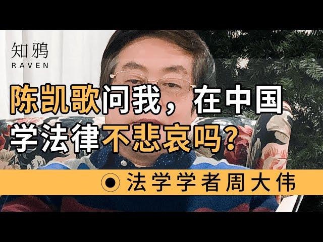 陈凯歌曾问我，在中国学法律不悲哀吗？