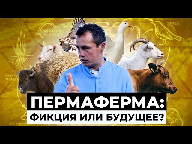 Как живет фермер-кочевник?  Чудо-ферма Ринальдо Маллямова