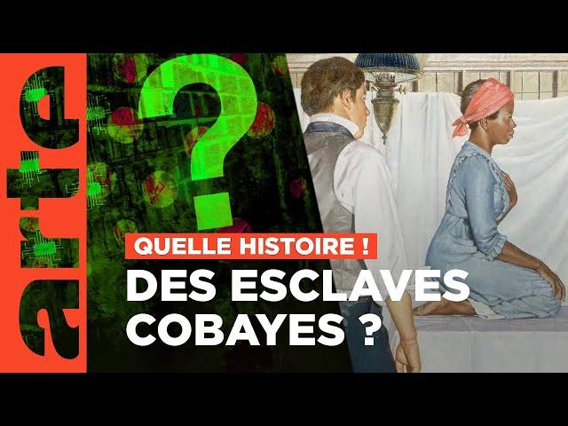 Le gynécologue et les esclaves cobayes | Quelle histoire ! Enquête sur la toile (3/6) | ARTE