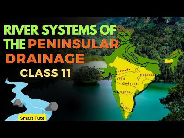 River Systems of the Peninsular Drainage - Drainage System | Class 11 Geography | NCERT