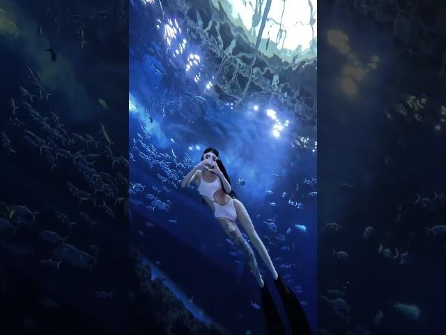 #UnderwaterBeauty #Freediving #SwimWithMe #AquaAdventure #OceanExploration
