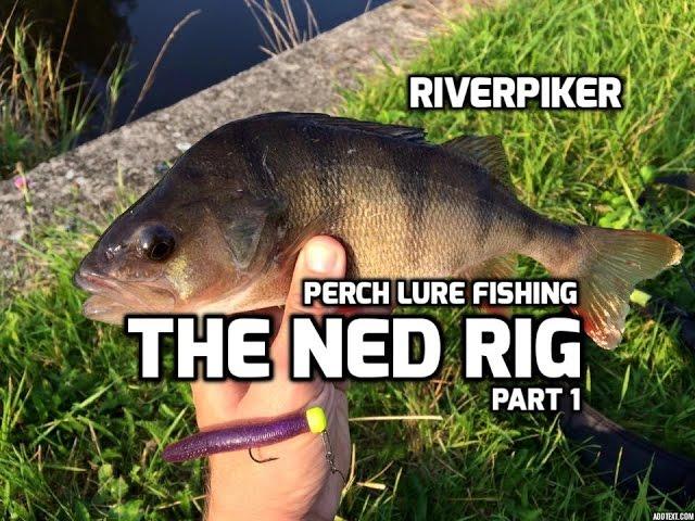 Perch lure fishing - Ned rig part 1(Video 150)