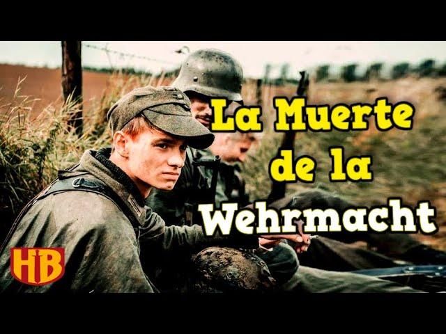 La Aplastante Derrota del Grupo de Ejércitos Centro y Norte Alemán en 1944 | Serie Completa