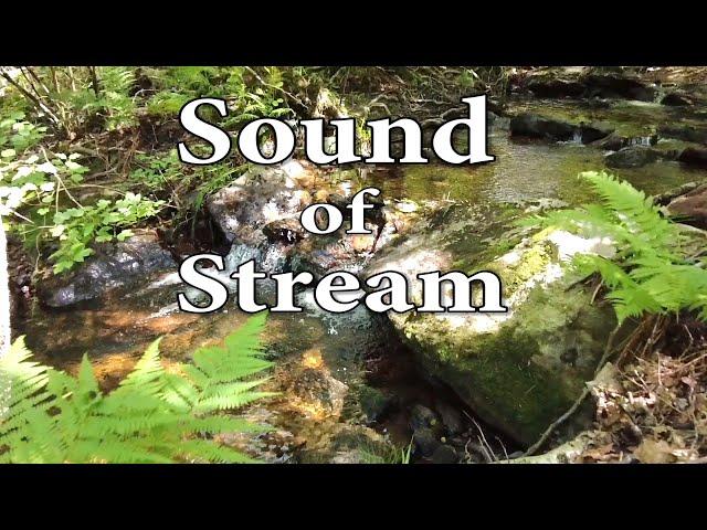 Sound of Stream - Relaxing Water Sound - Birdsong.