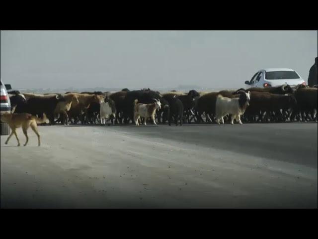 جاذبه های گردشگری شهرستان نظرآباد در استان البرز