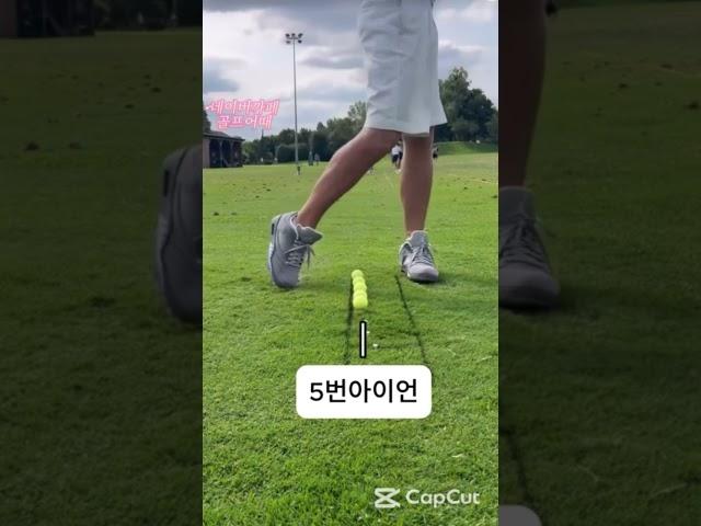 드라이버 아이언 골프공 위치 #golf #골프어때 #골프스타 #김똘추 #골프 #golfswing