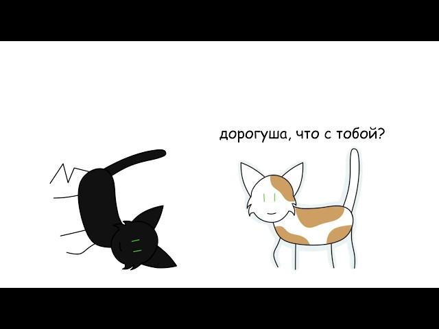 Коты-воители. История Остролистой ~ в двух словах