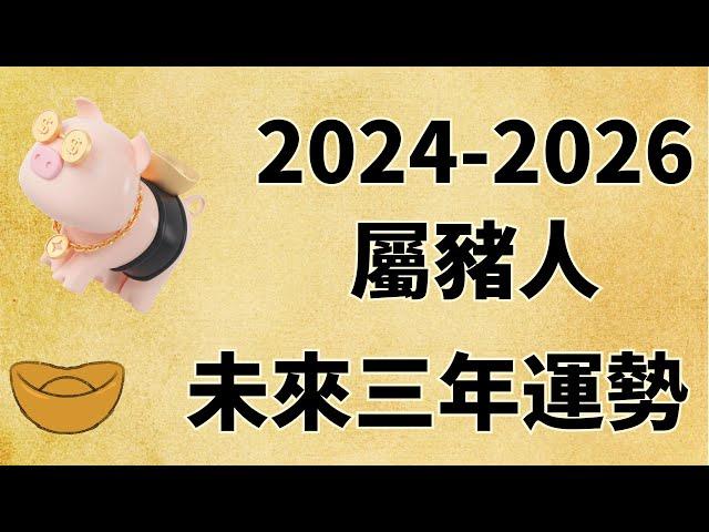 屬豬人未來三年運勢如何（2024年 2025年 2026年）