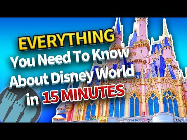 Everything You Need To Know About Disney World in 15 Minutes