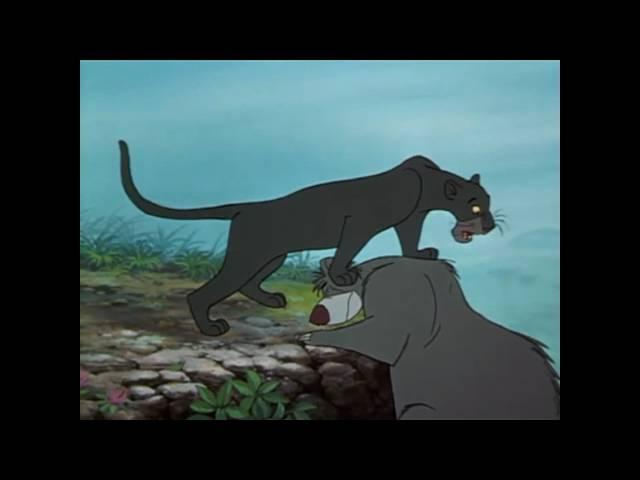 They Ambushed me! - The Jungle Book