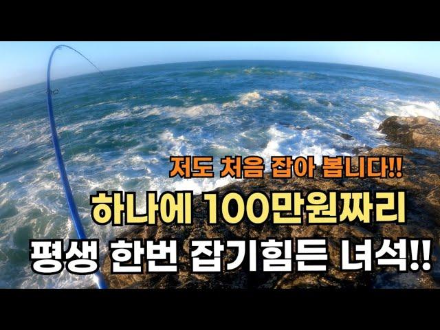 길이가 무려 5m... 낚시로 잡았습니다!!