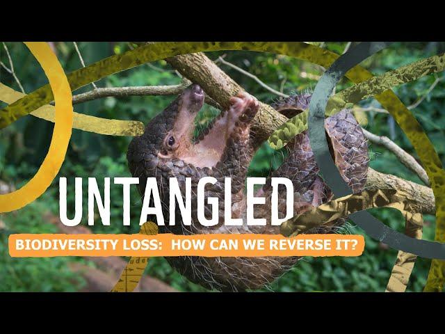 Untangled: Biodiversity loss - how can we reverse it?