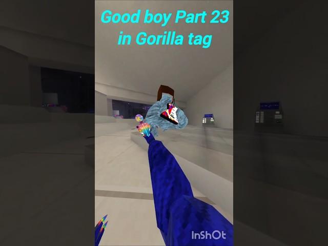 good boy Part 23 in Gorilla tag #gorillatag #gorillatagquest#gorillatagghost #goodboy