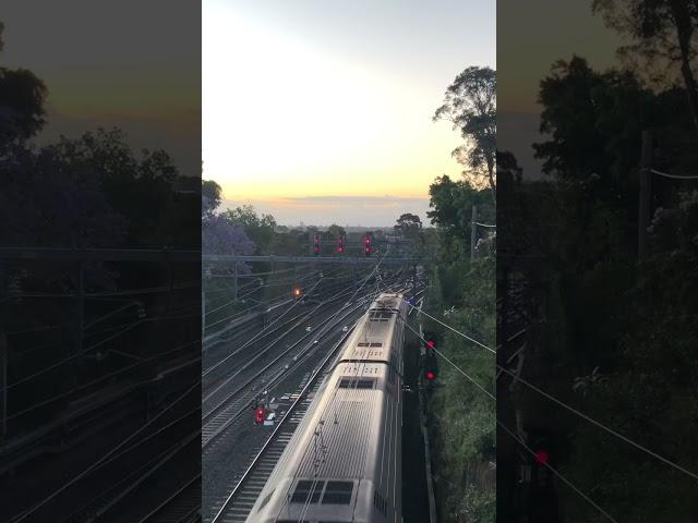 Sydney Waratah train A set on T1 line passes by during sunset