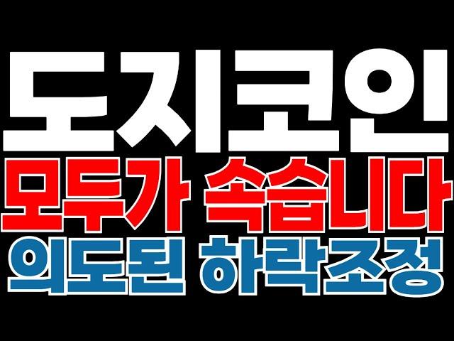 [도지코인 전망] 모두가 속는 "의도된 하락" 이 구간 이후 대상승 나옵니다