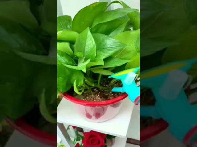 New Gadgets | Smart Appliances | Kitchen/Utensils For Every Home Makeup #gadgets #appliances #shorts
