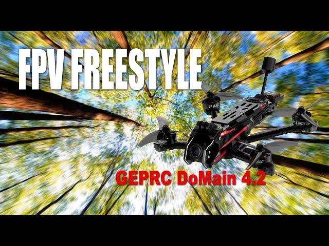 FPV Freestyle / GEPRC DoMain 4.2