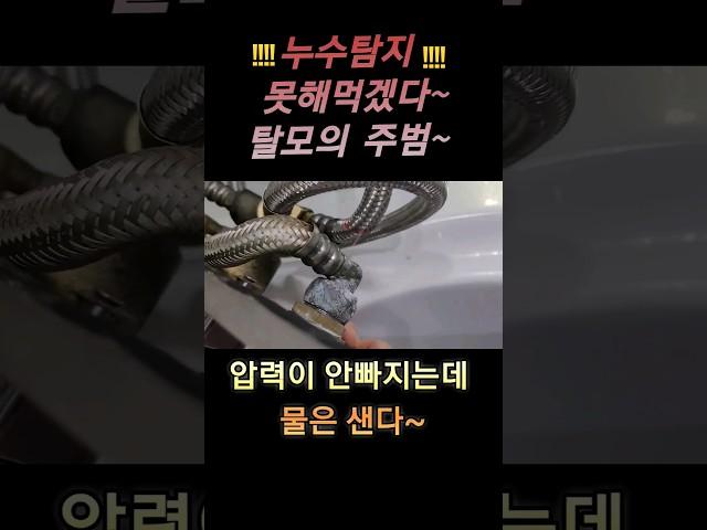 누수 탐지 못 해먹겠다~ 그냥 힘들다~ #누수 #화장실인테리어 #누수탐지 ₩watertap