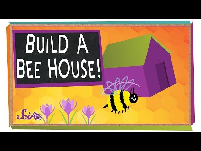 Build a Beehouse! | Science Project for Kids