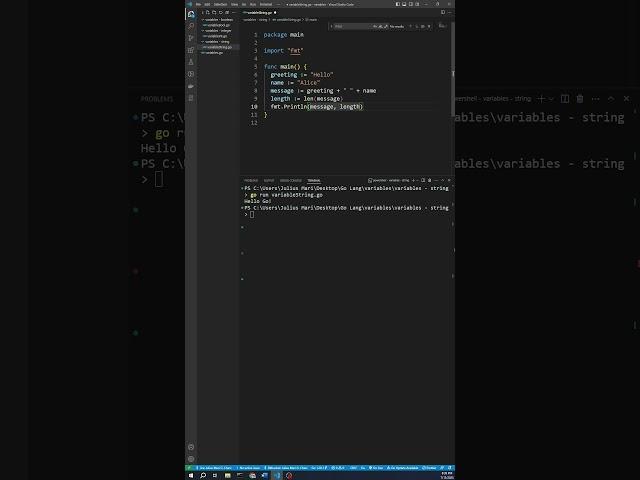 Go Language String Variable